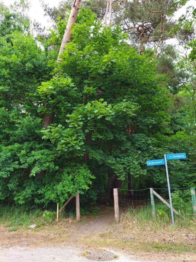 Apartament Alicja ミエンジボジェ エクステリア 写真