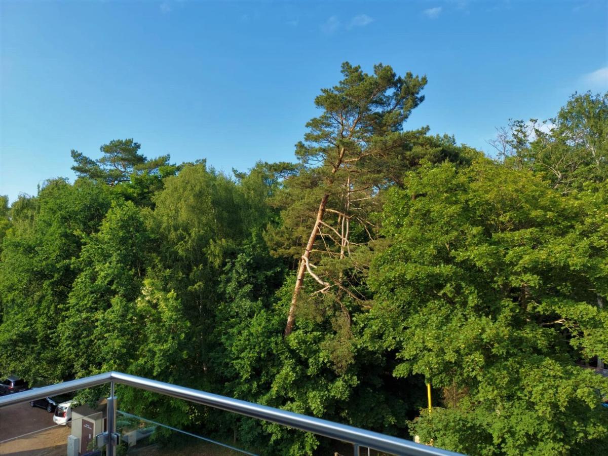 Apartament Alicja ミエンジボジェ エクステリア 写真